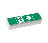 LUCE NOTTURNA LED ICEAGLE SV EURO4 3h - 5W, 6500K, 95x72x72 mm, IP41