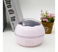 Luce notturna per proiettore rotante USB a sfera piccola con cielo stellato (ros