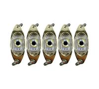 Luce per Esche da Pesca, 5 Pezzi Luci per Esche a LED, Lampada Pesca Subacquea con Design Fisheye Luminose Esca per Pesci Mare e Ghiaccio in Barca