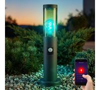 Luce per Esterni con Piedistallo Piantana Movimento Smart RGB LED Alexa Google