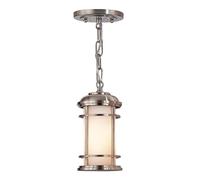 Luce per Esterni Lampada a Sospensione Acciaio Inox H 19,6 CM 1 Fiamma [EEK: Non valutato]