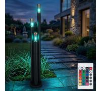 Luce per Esterni Piantana Acciaio Inox RGB LED Telecomando Dimmerabile Cortile