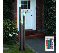 Luce per Esterni Piantana Acciaio Inox RGB LED Telecomando Dimmerabile Cortile [EEK: F]