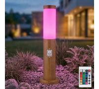 Luce per Esterni Piantana con Piedistallo Natura RGB LED Telecomando Movimento