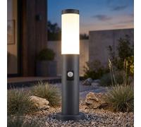 Luce per Esterni Piantana Sensore di Movimento Lampada da Giardino Antracite [EEK: Non valutato]
