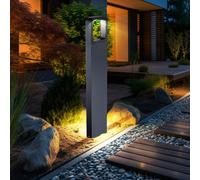 Luce per Esterni Piedi Lampada Stato LED Grigio Scuro Alluminio da Percorso