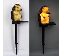 Luce per for solare da per for terra Riccio Resina per for costruzione