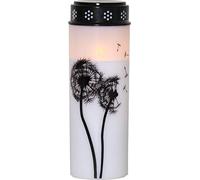 Star Trading - dente di legno di luce tomba a LED - 21 cm - bianco