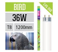 Luce per uccelli Neon Bird Arcadia t8 simula effetto del sole
