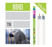 Luce per uccelli Neon Bird Arcadia t8 simula effetto del sole
