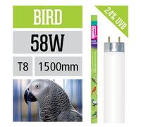 Luce per uccelli Neon Bird Arcadia t8 simula effetto del sole