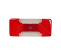 Luce Posteriore Destra DT SPARE PARTS Compatibile Con IVECO