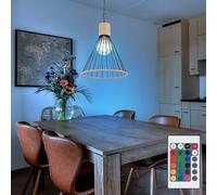 Luce Sala da Pranzo Lampada a Sospensione Telecomando LED Grata Dimmerabile RGB [EEK: F]