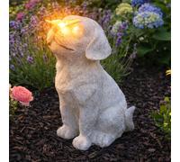 Luce Solare LED Per Gatti E Cani, Ornamento Memoriale Grigio IP44 In Resina