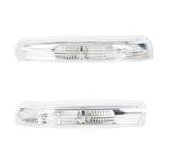 Luce Specchietto Laterale Per Chevrolet Per Captiva 2007 2008 2009 2010 2011-2016 Specchietto Retrovisore Luci Lampeggianti Sinistra Destra LED Auto Indicatore Direzione(1pair)