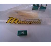 LUCE SPIA 6 VOLT 50 MALAGUTI 02202000
