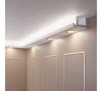 Luce Striscia per Illuminazione Indiretta, Profilo LED Listello - 2 Metri OL-54