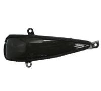 Luce supplementare indicatore di direzione Dx 5403-018-12-866 BLIC