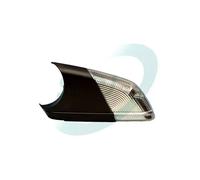 Luce supplementare indicatore di direzione Specchio esterno per guida a Sx/Dx
