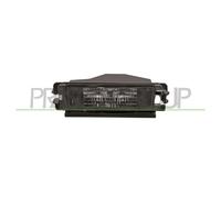 Luce targa destra/sinistra Dacia Sandero Stepway 2013-2016