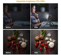 Luce video LED bicolore professionale per ritratti, cibo e still life, batteria ricaricabile, CRI95+, dimmerabile, ultra luminosa, per foto e video,