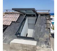 Lucernario Da Tetto,Botola Da Tetto Con Raddoppiare Vetro Temperato,Lucernario Sul Tetto Per Casa Con Lega Di Alluminio Telaio,Cantina Porta Di Osservazione Sicurezza(29"x29"/74x74cm)