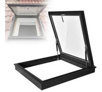 Lucernario temperato a doppio strato per una maggiore luce diurna e sicuro, perfetto per soffitte, verande e capannoni, soluzioni per finestre da tetto Quali di alta qualità