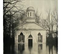 Lucero Among the Ghosts (Vinyl LP) 12" Album