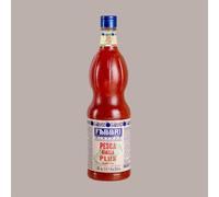 Lucgel Sciroppo Concentrato per Granita Gusto Pesca Gialla Plus Mixybar Fabbri - 1,3 Kg -