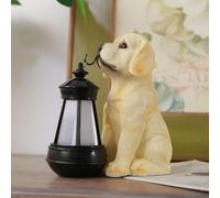 Luci a LED per la decorazione della casa a energia solare per il prato del