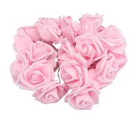 Luci a spago di rosa fiorisce caldo luci fate bianche 3 metri USB per la decorazione del matrimonio di San (Modello Rose-USB 3M 20 luci rosa)
