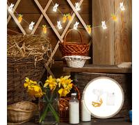 Luci a stringa batteria Luci a stringa di Pasqua interno Carrot Bunny Accendi a