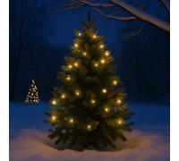 Valiant luci a corda da giardino - 7,5 m con 25 lampadine a LED più piombo...