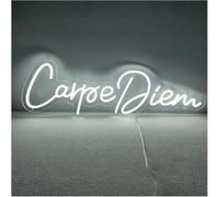 Luci al neon decorative Per insegne al neon Decor Carpe Diem per Club Party Shop Home Camera da letto Compleanno Lampada 42cm×14.7cm