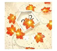 luci decorative a filo, Ghirlanda di luci decorative for il Ringraziamento | Luci fatate a LED a colori caldi | Decorazioni autunnali fai da te perfette for la casa(Usb Charging,19.6ft(40led))