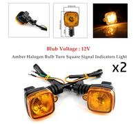 Luci di Indicatore di Direzione Ricambio 2PCS / Kit Accessori Ambra Alogena