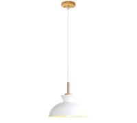 Luci Moderna Testa Singola Piccola Spia Decorativa in Metallo Il lampione Ristorante caffetteria di Illuminazione ad soffitto Sospensione Lampada a LED -lampadario c