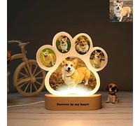 Luci notturne personalizzate per cani con foto personalizzate, lampada per cani in acrilico, luce notturna, decorazione per animali domestici, regalo commemorativo per gli amanti dei cani