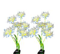Luci Per Esterni - Luce Da Giardino Solare | Luci Del Paesaggio Ad Energia Solare | Luci Esterne, Set Di 2 Forniture Da Giardinaggio Riutilizzabili, Di Illuminazione Coppia