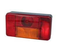 Luci posteriori 5 funzioni a sinistra 12V