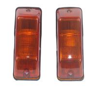 luci segnale rotazione Compatibile Con Mercedes Per Benz Per Sprinter 1995-2003 2004 2005 2006 2 Pezzi Indicatore Per Auto Ripetitore Laterale Lampada Indicatori Direzione Per Auto 0018205021