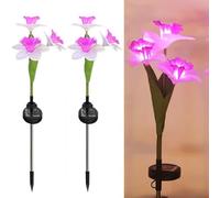 Luci solari da giardino per esterni, confezione da 2 luci solari da giardino a forma di narciso, impermeabili IP65, ad energia solare, per vialetti, feste di nozze (rosa)