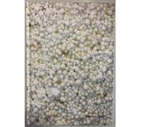 Luciano Caprile. L'artista e la materia / Galleria Tega, 2009