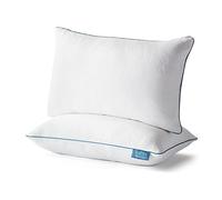 LUCID - Cuscino premium in memory foam sminuzzato, ipoallergenico, con imbottitura modellabile, Queen, confezione da 2, bianco