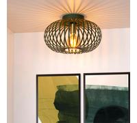 Lucide Manuela - Lampada da soffitto, diametro: 40 cm, 1 x E27, colore: Verde