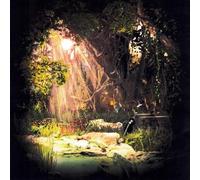 Lucien Balconi - SAW THE FEELING IN THE HEART OF THINGS