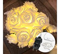Lucine Led Decorative Rose - 5 Metri & 20 Fiori LED Bianco Caldo I Con Spina I F
