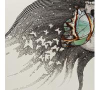 Luck Of Eden Hall Butterfly Revolution Col) (Vinyl LP)