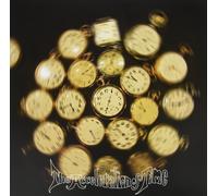 Luck Of Eden Hall The Acceleration Of Time -2Lp- (Black) (Vinyl LP)
