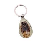 Luck Trader Real Cicada Glow in the Dark Portachiavi